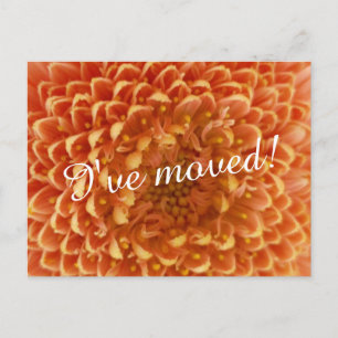 New home moving postcards close up flower photo