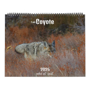 New! 'I am Coyote' 2026 calendar