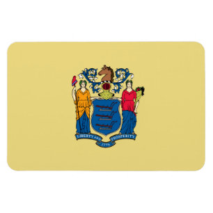 New Jersey flag Magnet