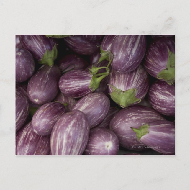 New Jersey grown purple eggplants Postcard (Front)