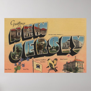 New Jersey (State Capital/Flower/Bird) Poster