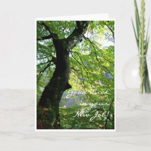 New Job Good Luck Card