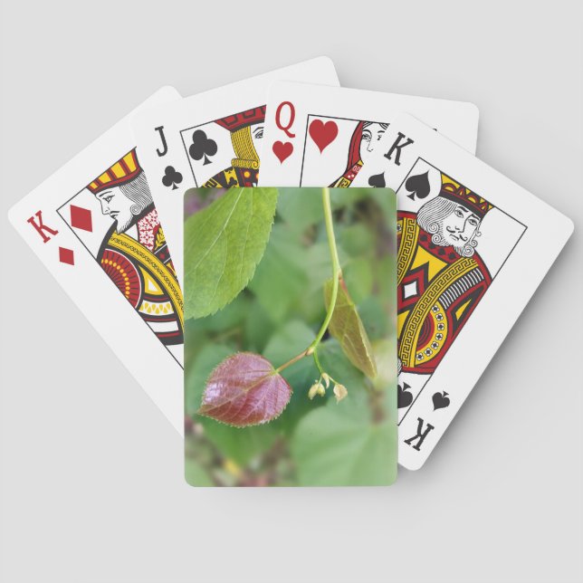 new leaf spring playing cards (Back)