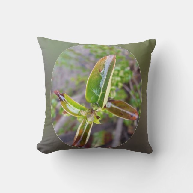 new leaves in spring cushion (Front)