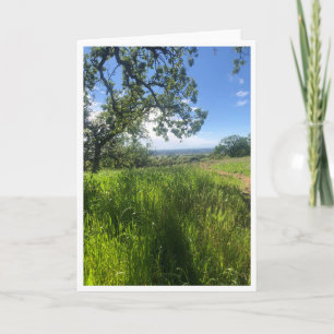New Life - 1 Card