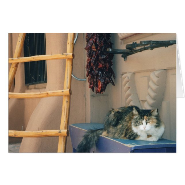 New Mexico Cat (Front Horizontal)