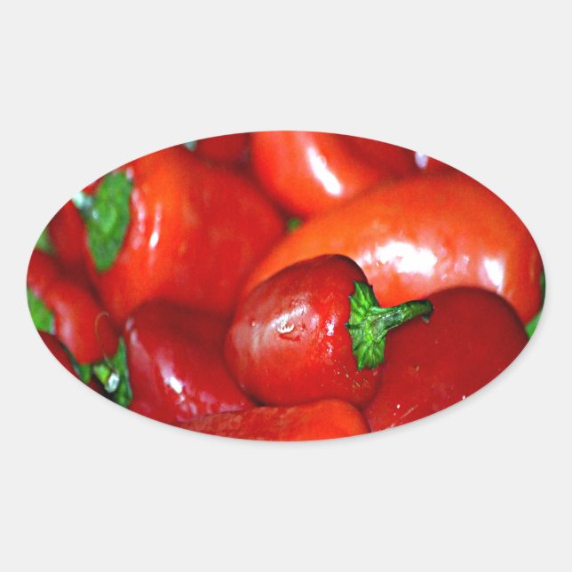 New Mexico Chilli Peppers (Chile) Oval Sticker (Front)