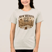 New Mexico Desert Soul Route 66 Hot Air Balloon 