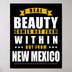 New Mexico - Funny D City Gift  Poster