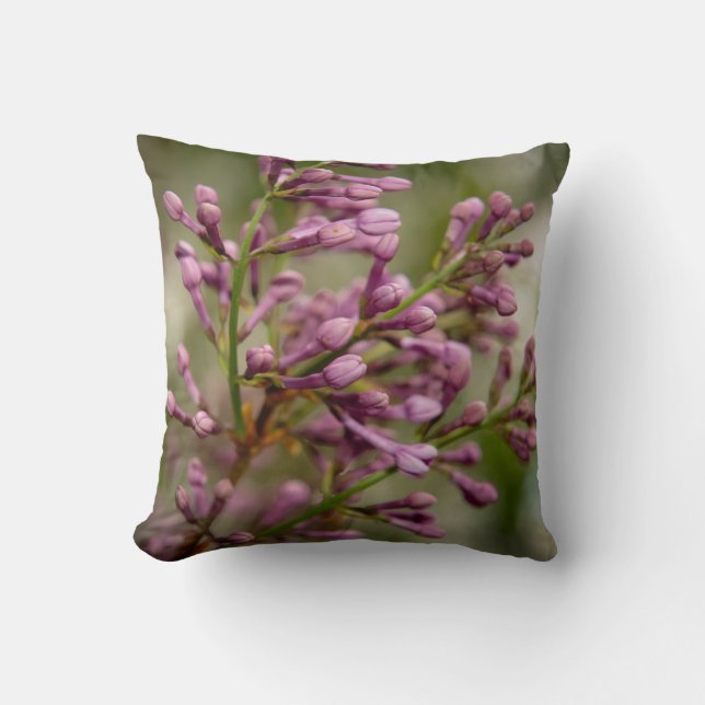 New Mexico Garden Cushion (Front)