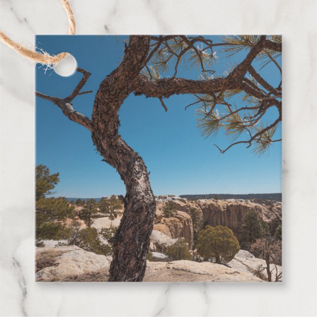 New Mexico Landscape Photo Favour Tags (Front)