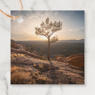 New Mexico Landscape Photo Favour Tags