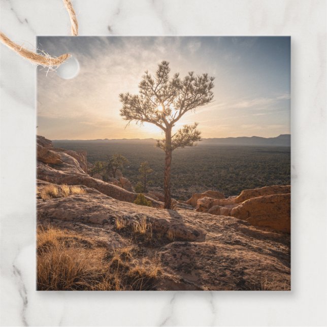 New Mexico Landscape Photo Favour Tags (Front)