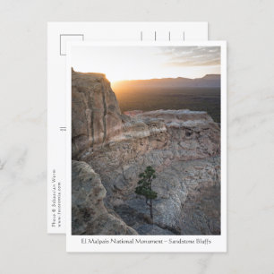 New Mexico Landscape Photo Postcard