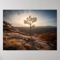 New Mexico Landscape Photo