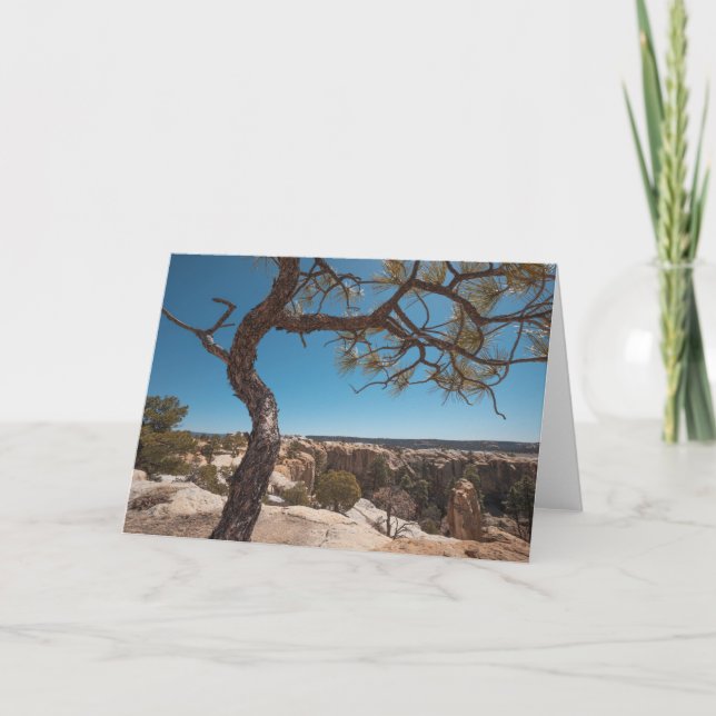 New Mexico Landscape Photograph Card (Front)