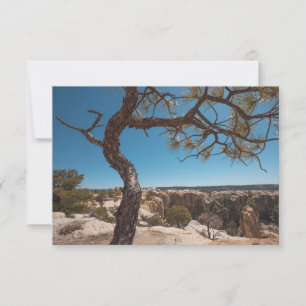 New Mexico Landscape Photograph Card