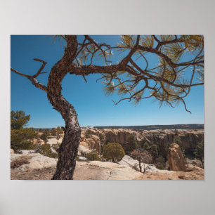 New Mexico Landscape Photograph Poster