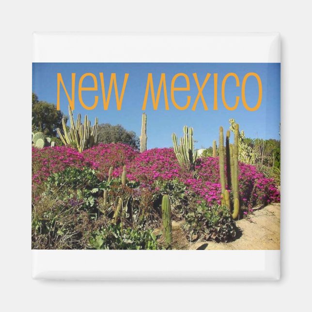 New Mexico Magnet (Front)