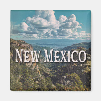 New Mexico Magnet