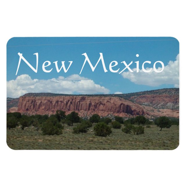 New Mexico Mountain landscape  Magnet (Horizontal)
