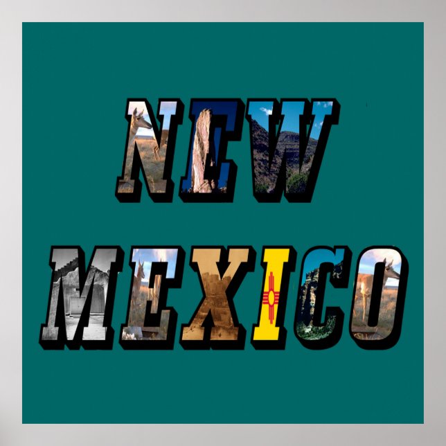 New Mexico Picture Text Poster (Front)