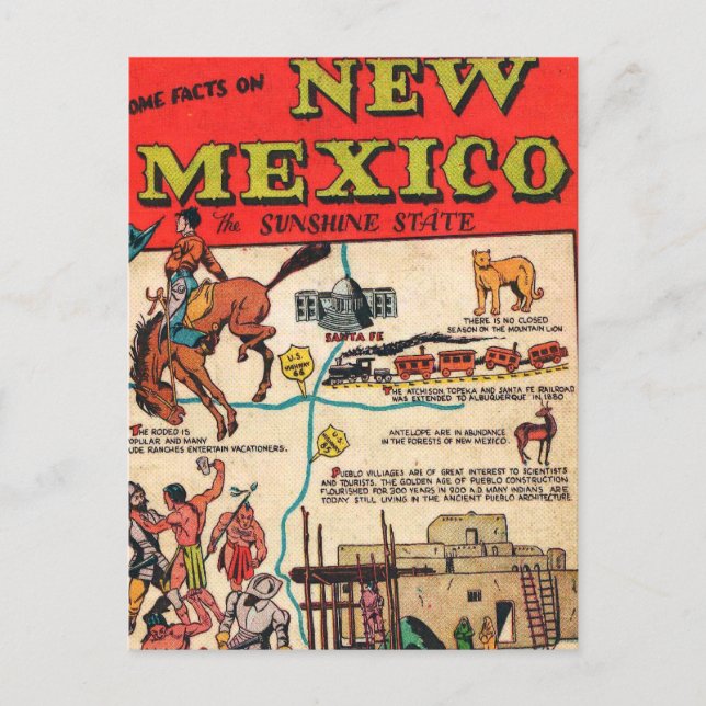 New Mexico Postcard (Front)