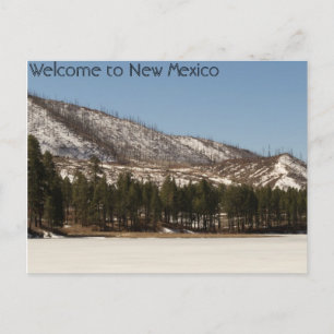 New Mexico Postcard