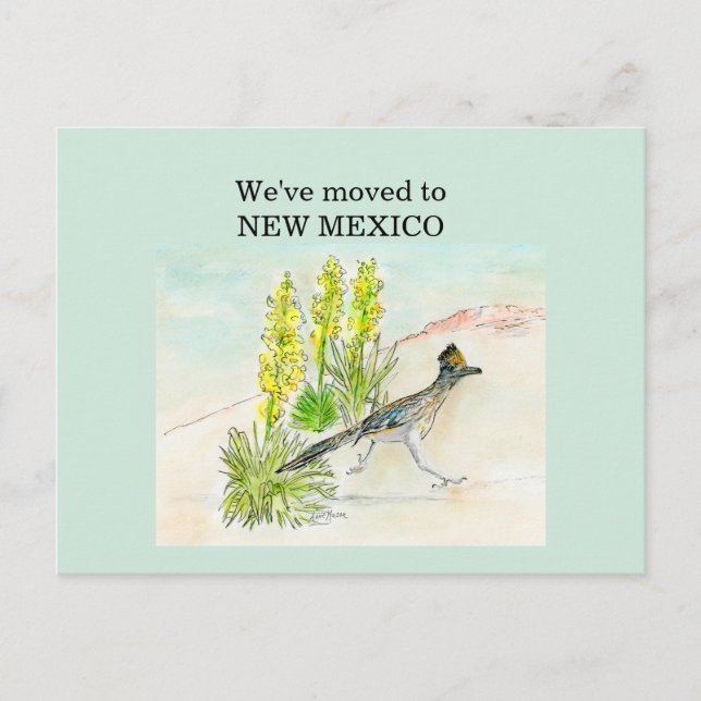 New Mexico Postcard (Front)