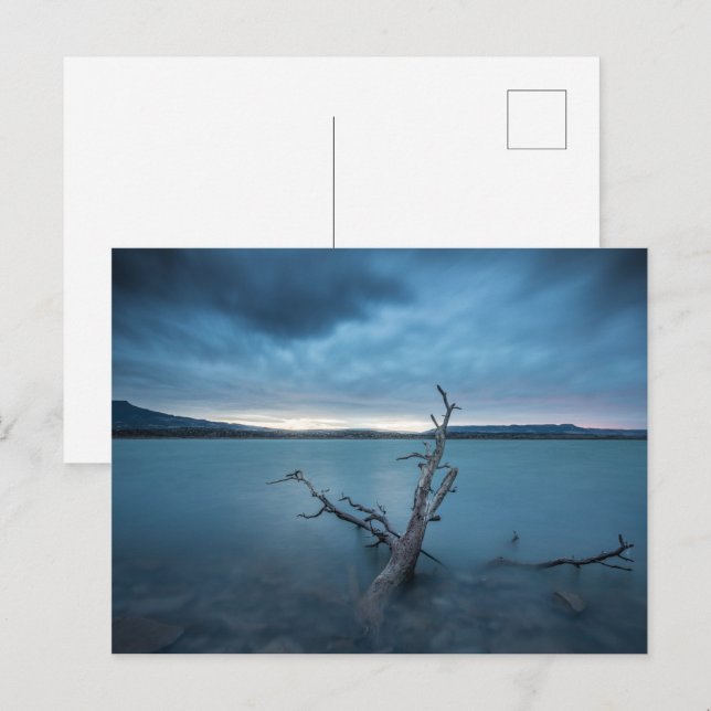 New Mexico Postcard (Front/Back)