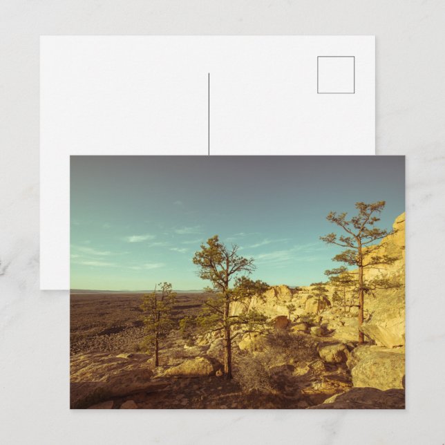 New Mexico Postcard (Front/Back)