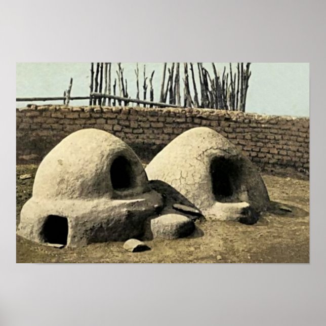 New Mexico Poster (Front)