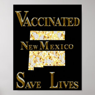NEW MEXICO  POSTER