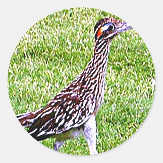 New Mexico Roadrunner Classic Round Sticker (Front)