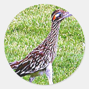 New Mexico Roadrunner Classic Round Sticker