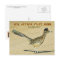 New Mexico State Bird: Roadrunner