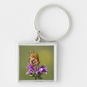 new mexico, united states of america key ring