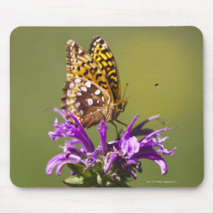 new mexico, united states of america mouse pad