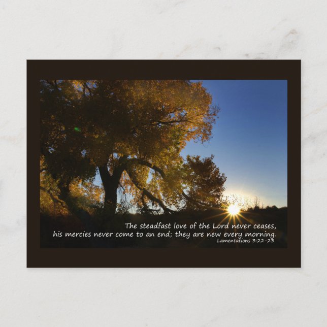 New Mornings Postcard (Front)