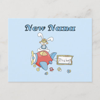 New Nana of Boy-Aeroplane Tshirts and Gifts Postcard