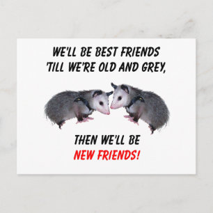 New Old Friends Postcard