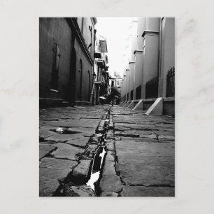 New Orleans Alley Postcard
