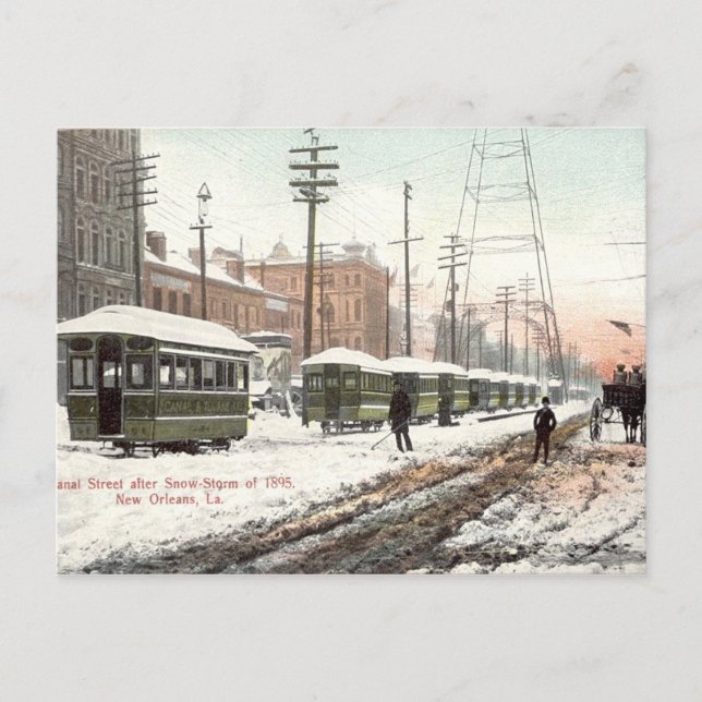 New Orleans Canal St Snow 1895 Postcard (Front)