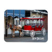 New Orleans Carriage Ride