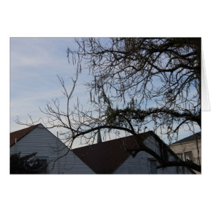 New Orleans Lifestyle