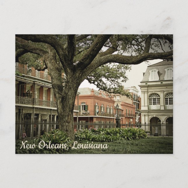 New Orleans Postcard (Front)