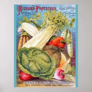 New Orleans Vintage Seed Store Poster