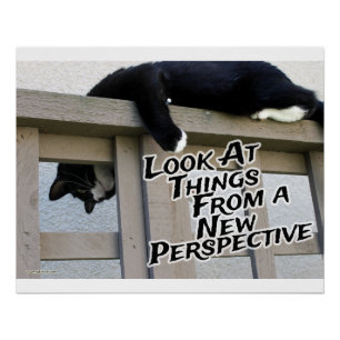 New Perspective Motivating Cat Photo Art Poster