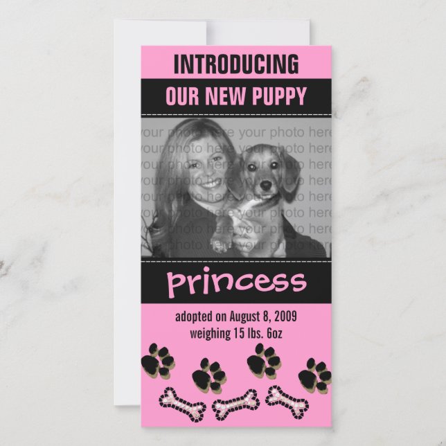 New Pet Adoption Announcement (Front)