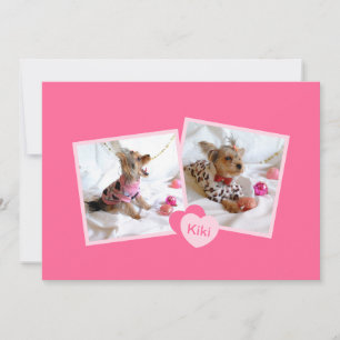 New Pet Adoption Announcement in Girly Pink